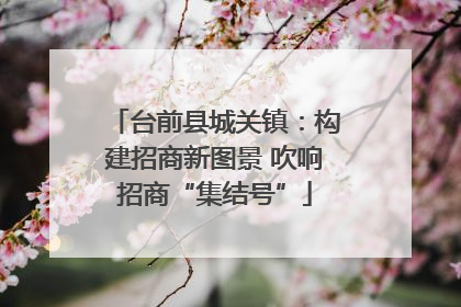 台前县城关镇：构建招商新图景 吹响招商“集结号”