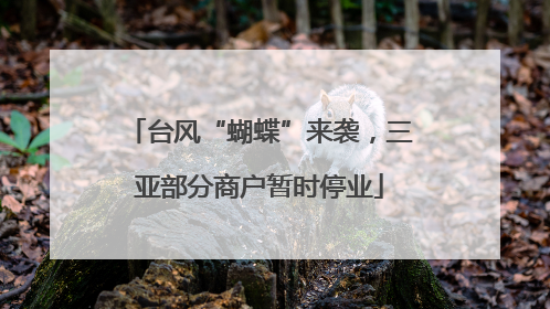 台风“蝴蝶”来袭，三亚部分商户暂时停业