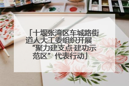 十堰张湾区车城路街道人大工委组织开展 “聚力建支点·建功示范区”代表行动