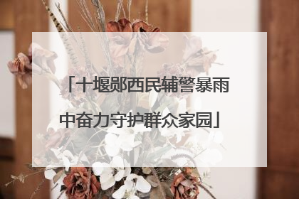 十堰郧西民辅警暴雨中奋力守护群众家园