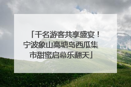 千名游客共享盛宴！宁波象山高塘岛西瓜集市甜蜜启幕乐翻天