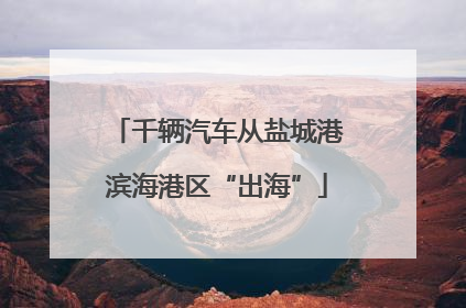 千辆汽车从盐城港滨海港区“出海”