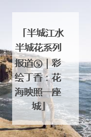 半城江水半城花系列报道⑤｜彩绘丁香：花海映照一座城