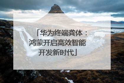 华为终端龚体：鸿蒙开启高效智能开发新时代