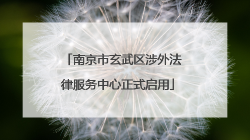 南京市玄武区涉外法律服务中心正式启用