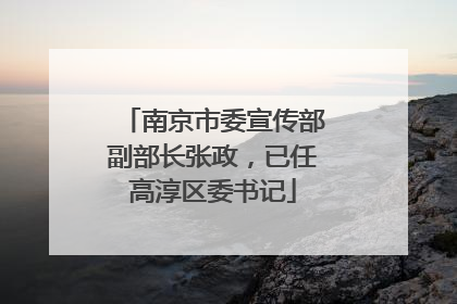 南京市委宣传部副部长张政，已任高淳区委书记