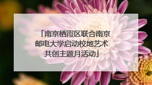 南京栖霞区联合南京邮电大学启动校地艺术共创主题月活动