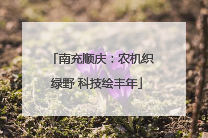 南充顺庆：农机织绿野 科技绘丰年