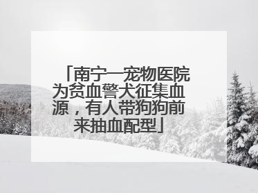 南宁一宠物医院为贫血警犬征集血源，有人带狗狗前来抽血配型