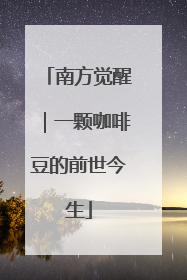 南方觉醒｜一颗咖啡豆的前世今生