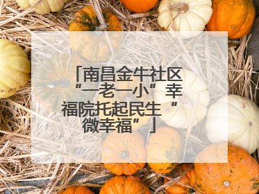 南昌金牛社区“一老一小”幸福院托起民生“微幸福”