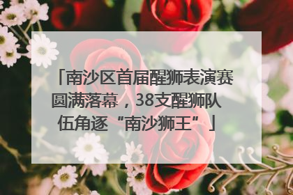 南沙区首届醒狮表演赛圆满落幕，38支醒狮队伍角逐“南沙狮王”