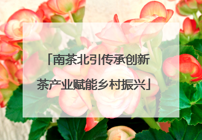 南茶北引传承创新 茶产业赋能乡村振兴