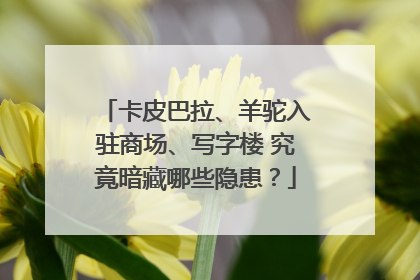 卡皮巴拉、羊驼入驻商场、写字楼 究竟暗藏哪些隐患？