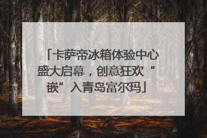 卡萨帝冰箱体验中心盛大启幕，创意狂欢“嵌”入青岛富尔玛