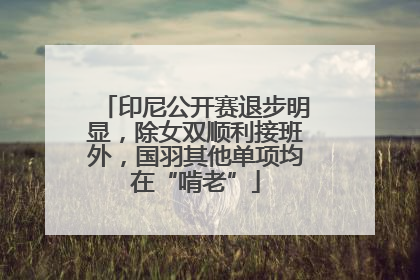 印尼公开赛退步明显，除女双顺利接班外，国羽其他单项均在“啃老”