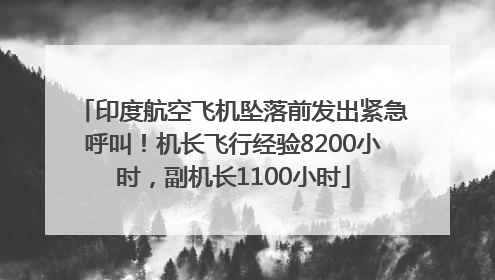 印度航空飞机坠落前发出紧急呼叫！机长飞行经验8200小时，副机长1100小时