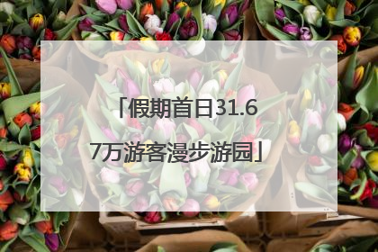 假期首日31.67万游客漫步游园