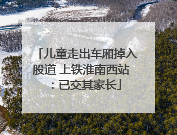 儿童走出车厢掉入股道 上铁淮南西站：已交其家长