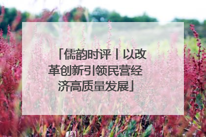 儒韵时评丨以改革创新引领民营经济高质量发展