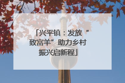 兴平镇：发放“致富羊”助力乡村振兴启新程