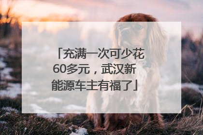 充满一次可少花60多元，武汉新能源车主有福了