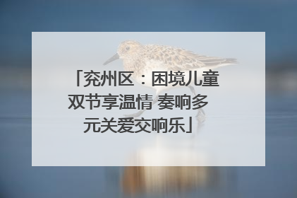 兖州区：困境儿童双节享温情 奏响多元关爱交响乐