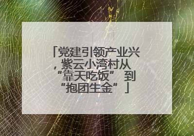 党建引领产业兴，紫云小湾村从 “靠天吃饭” 到 “抱团生金”