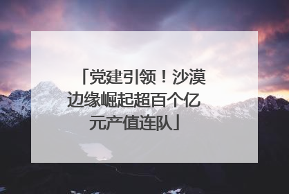 党建引领！沙漠边缘崛起超百个亿元产值连队