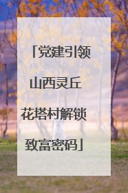 党建引领 山西灵丘花塔村解锁致富密码