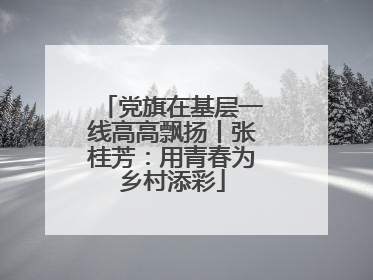 党旗在基层一线高高飘扬丨张桂芳：用青春为乡村添彩