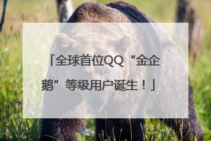 全球首位QQ“金企鹅”等级用户诞生！