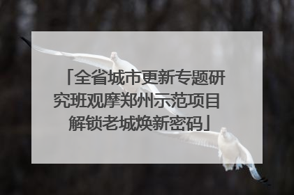 全省城市更新专题研究班观摩郑州示范项目 解锁老城焕新密码
