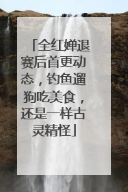 全红婵退赛后首更动态，钓鱼遛狗吃美食，还是一样古灵精怪