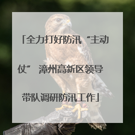 全力打好防汛“主动仗” 漳州高新区领导带队调研防汛工作