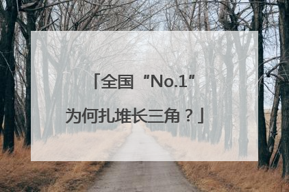 全国“No.1”为何扎堆长三角？