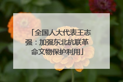全国人大代表王志强：加强东北抗联革命文物保护利用
