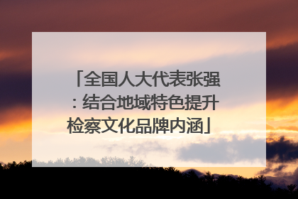 全国人大代表张强：结合地域特色提升检察文化品牌内涵