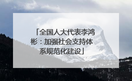 全国人大代表李鸿彬：加强社会支持体系规范化建设