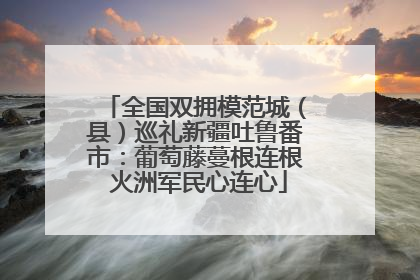全国双拥模范城（县）巡礼新疆吐鲁番市：葡萄藤蔓根连根 火洲军民心连心