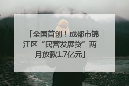 全国首创！成都市锦江区“民营发展贷”两月放款1.7亿元