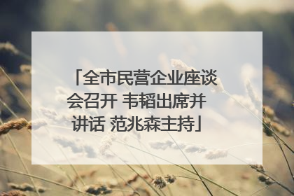 全市民营企业座谈会召开 韦韬出席并讲话 范兆森主持