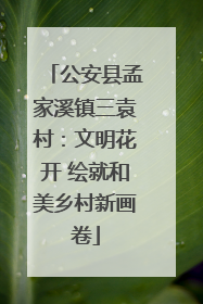 公安县孟家溪镇三袁村：文明花开 绘就和美乡村新画卷