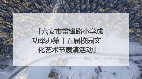 六安市雷锋路小学成功举办第十五届校园文化艺术节展演活动