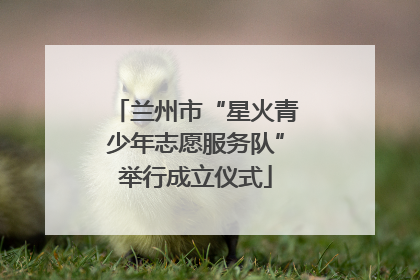 兰州市“星火青少年志愿服务队”举行成立仪式