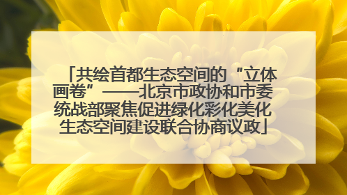 共绘首都生态空间的“立体画卷”——北京市政协和市委统战部聚焦促进绿化彩化美化生态空间建设联合协商议政