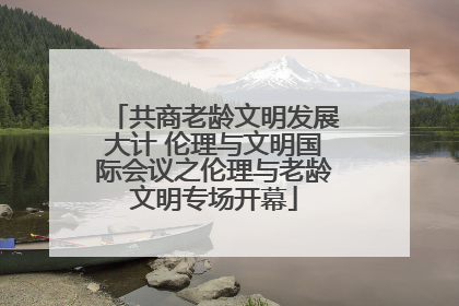 共商老龄文明发展大计 伦理与文明国际会议之伦理与老龄文明专场开幕