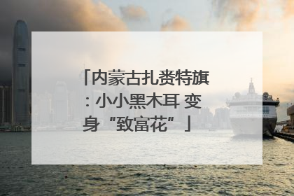 内蒙古扎赉特旗：小小黑木耳 变身“致富花”