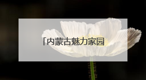 内蒙古魅力家园民族民间传统趣味运动会举行
