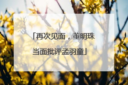 再次见面，董明珠当面批评孟羽童